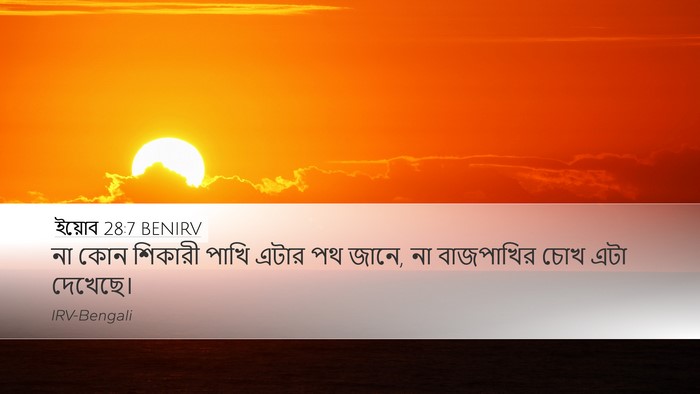 ইয়োব 28:7 BENIRV Bible Verse Image