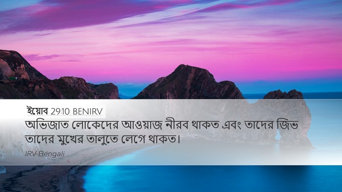 ইয়োব 29:10 BENIRV Bible Verse Image