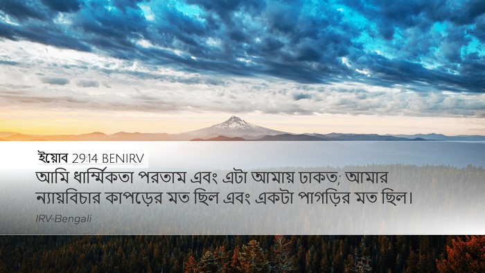 ইয়োব 29:14 BENIRV Bible Verse Image