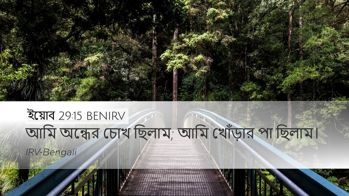 ইয়োব 29:15 BENIRV Bible Verse Image