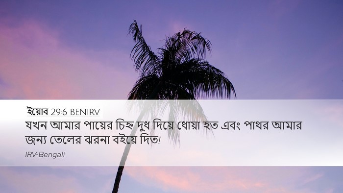 ইয়োব 29:6 BENIRV Bible Verse Image
