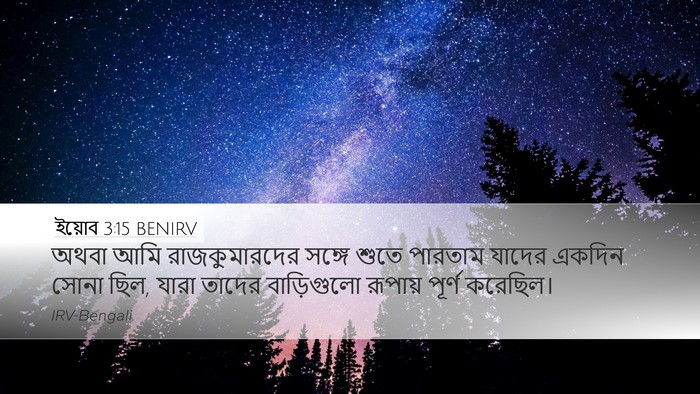 ইয়োব 3:15 BENIRV Desktop Wallpaper - অথবা আমি - Desktop Bible Verse Wallpaper