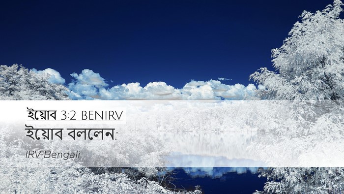 ইয়োব 3:2 BENIRV Desktop Wallpaper - ইয়োব - Desktop Bible Verse Wallpaper