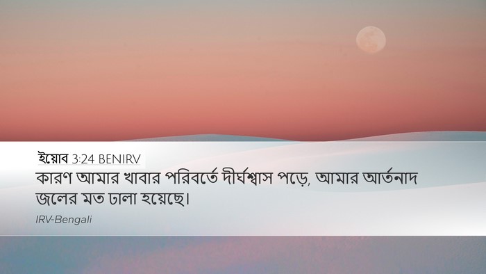 ইয়োব 3:24 BENIRV Bible Verse Image