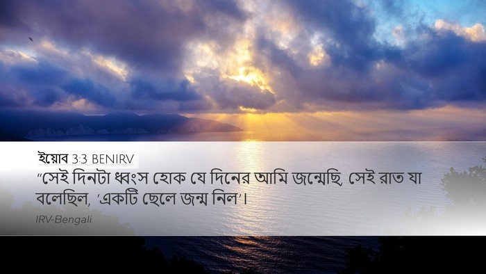 ইয়োব 3:3 BENIRV Bible Verse Image