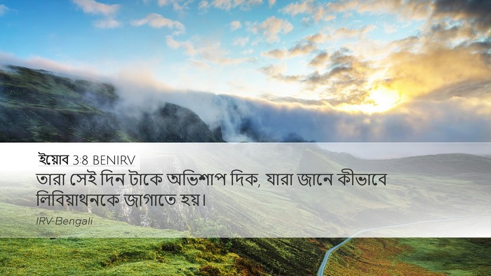 ইয়োব 3:8 BENIRV Bible Verse Image