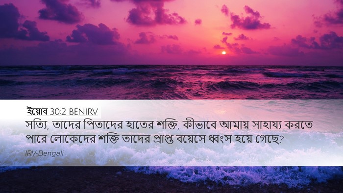 ইয়োব 30:2 BENIRV Desktop Wallpaper - সত্যি, তাদের - Desktop Bible Verse Wallpaper