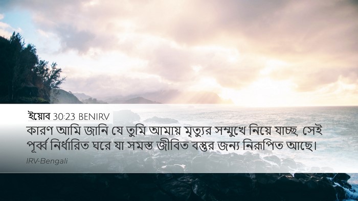 ইয়োব 30:23 BENIRV Bible Verse Image