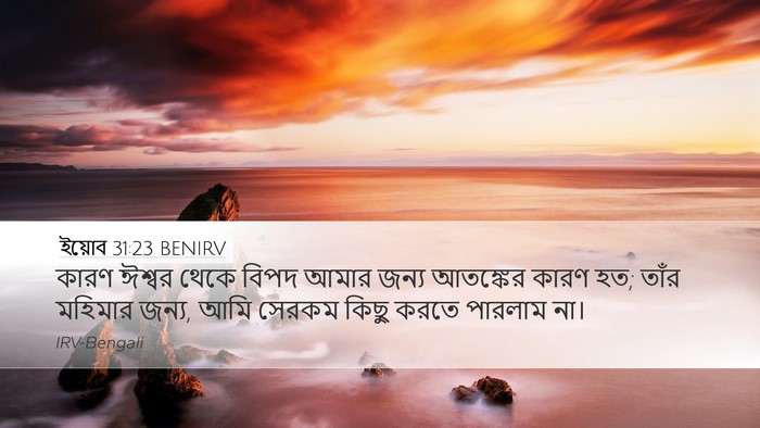 ইয়োব 31:23 BENIRV Bible Verse Image