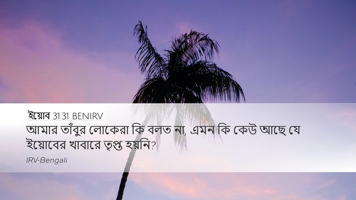 ইয়োব 31:31 BENIRV Bible Verse Image