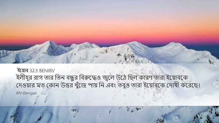 ইয়োব 32:3 BENIRV Bible Verse Image