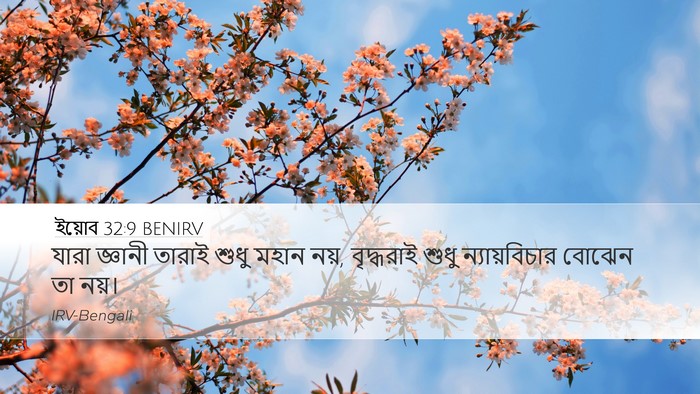 ইয়োব 32:9 BENIRV Bible Verse Image
