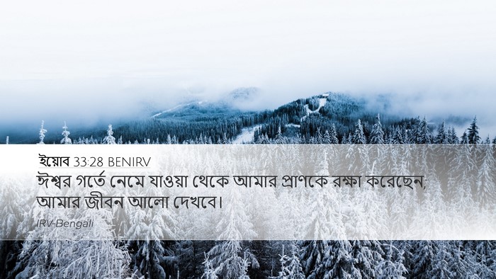 ইয়োব 33:28 BENIRV Bible Verse Image
