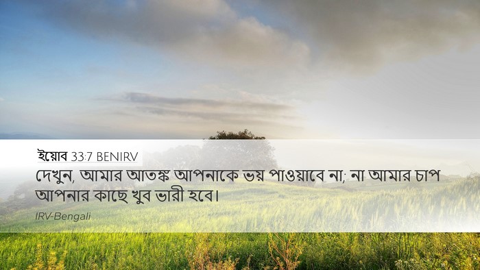 ইয়োব 33:7 BENIRV Bible Verse Image