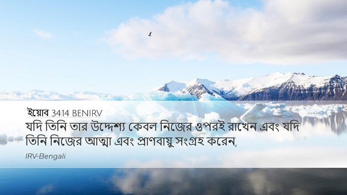 ইয়োব 34:14 BENIRV Bible Verse Image