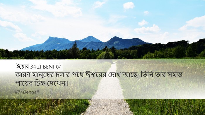ইয়োব 34:21 BENIRV Bible Verse Image