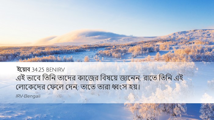 ইয়োব 34:25 BENIRV Bible Verse Image