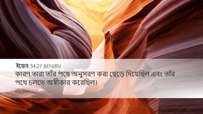 ইয়োব 34:27 BENIRV Bible Verse Image