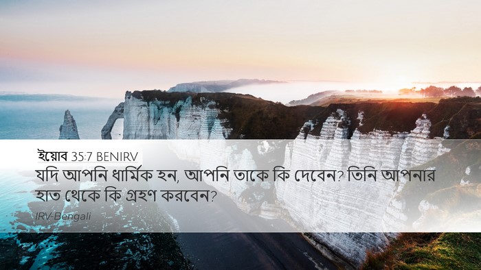 ইয়োব 35:7 BENIRV Bible Verse Image