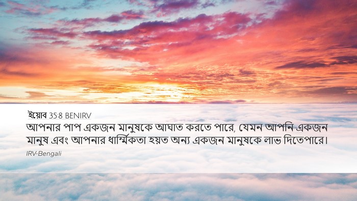 ইয়োব 35:8 BENIRV Desktop Wallpaper - আপনার পাপ একজন - Desktop Bible Verse Wallpaper