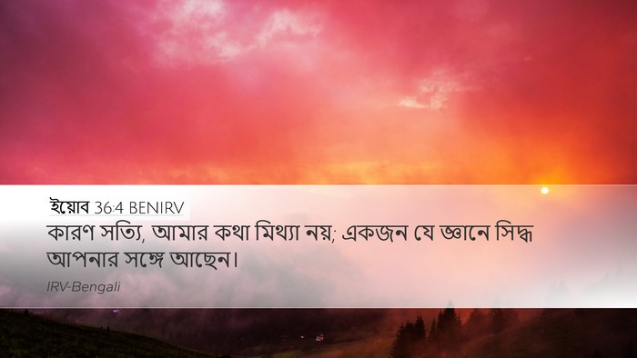 ইয়োব 36:4 BENIRV Bible Verse Image