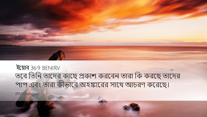 ইয়োব 36:9 BENIRV Bible Verse Image