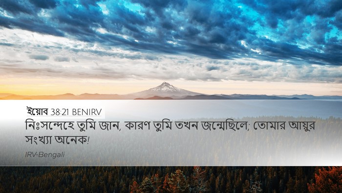 ইয়োব 38:21 BENIRV Bible Verse Image