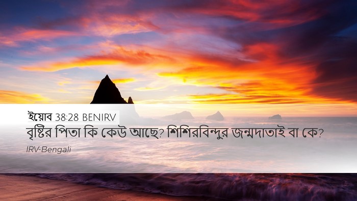 ইয়োব 38:28 BENIRV Desktop Wallpaper - বৃষ্টির পিতা কি - Desktop Bible Verse Wallpaper
