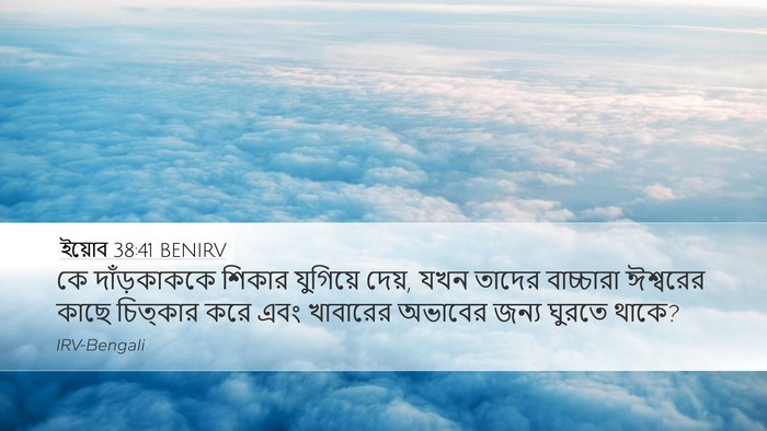 ইয়োব 38:41 BENIRV Bible Verse Image