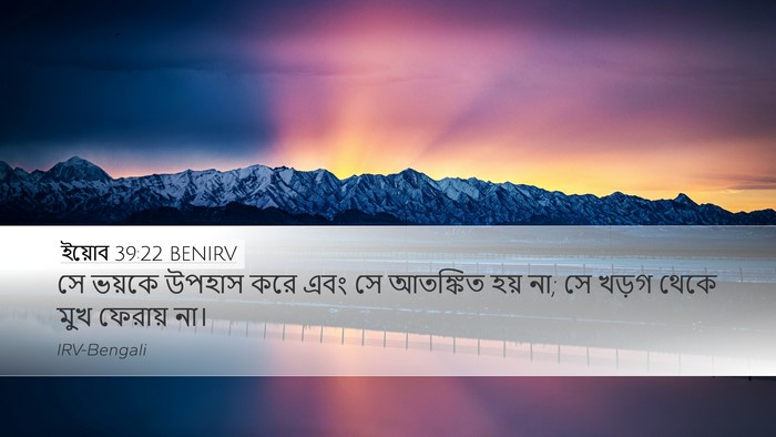 ইয়োব 39:22 BENIRV Bible Verse Image