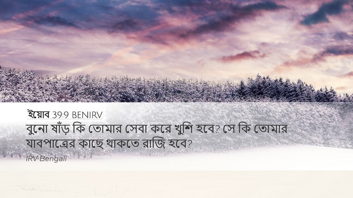 ইয়োব 39:9 BENIRV Bible Verse Image