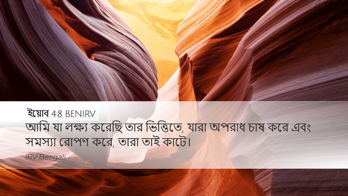 ইয়োব 4:8 BENIRV Bible Verse Image