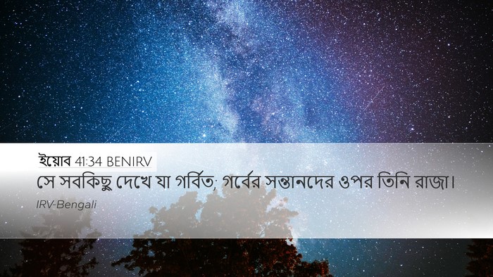 ইয়োব 41:34 BENIRV Bible Verse Image