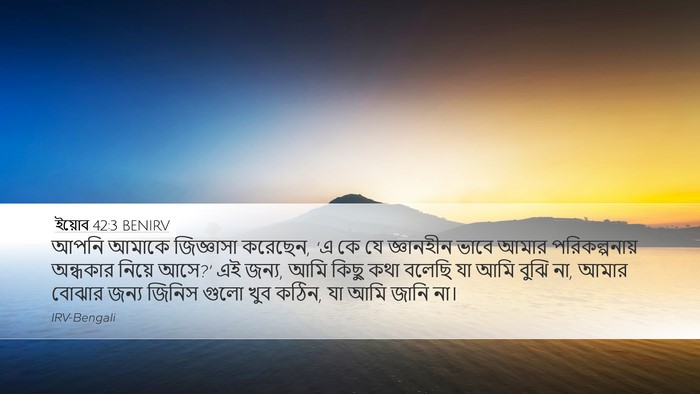 ইয়োব 42:3 BENIRV Bible Verse Image