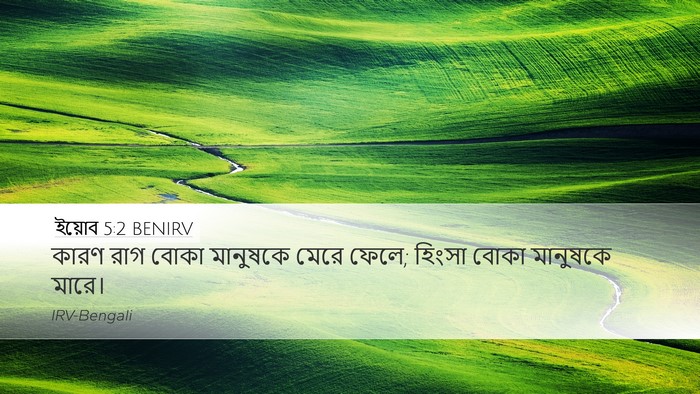 ইয়োব 5:2 BENIRV Bible Verse Image