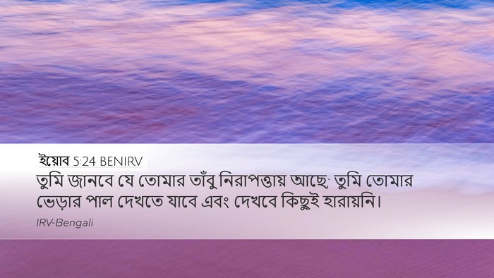 ইয়োব 5:24 BENIRV Bible Verse Image
