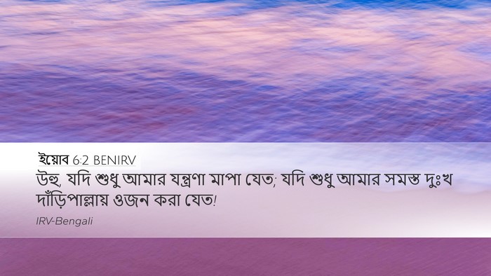 ইয়োব 6:2 BENIRV Bible Verse Image