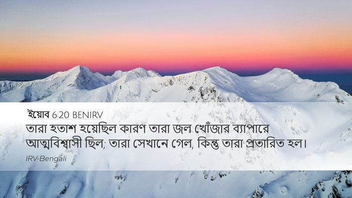 ইয়োব 6:20 BENIRV Bible Verse Image