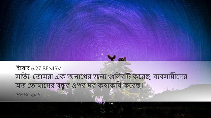 ইয়োব 6:27 BENIRV Bible Verse Image