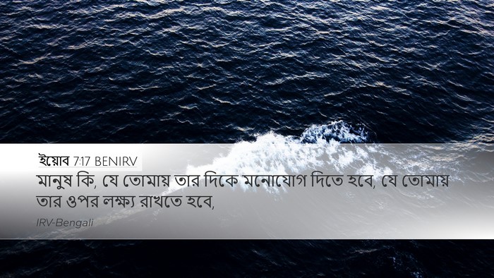 ইয়োব 7:17 BENIRV Bible Verse Image