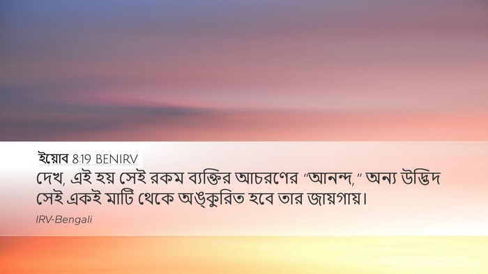 ইয়োব 8:19 BENIRV Bible Verse Image