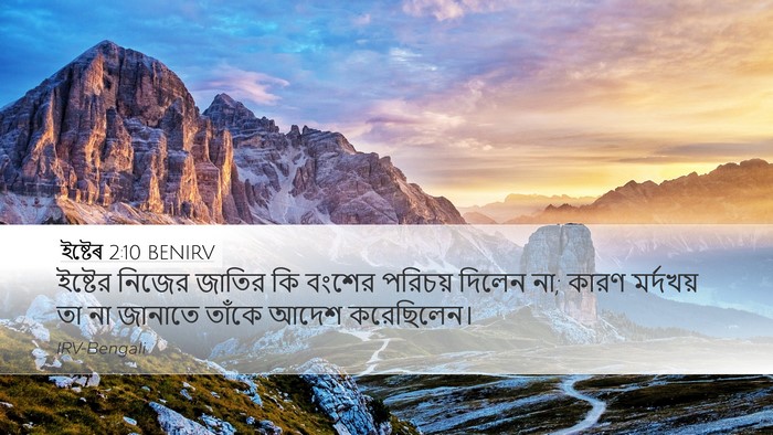 ইষ্টেৰ 2:10 BENIRV Bible Verse Image