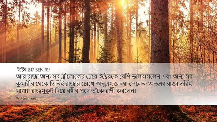 ইষ্টেৰ 2:17 BENIRV Bible Verse Image
