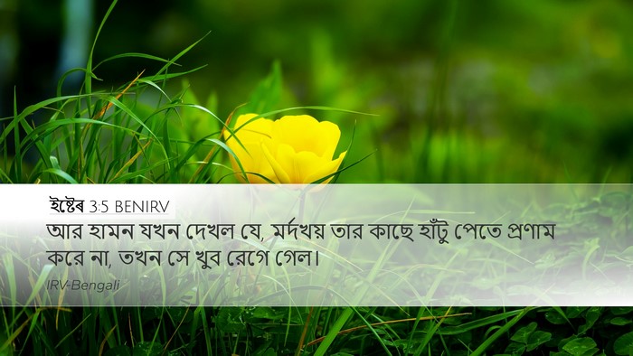 ইষ্টেৰ 3:5 BENIRV Bible Verse Image