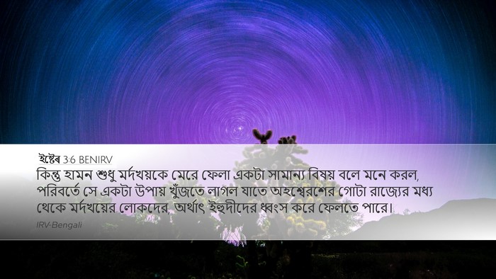 ইষ্টেৰ 3:6 BENIRV Bible Verse Image