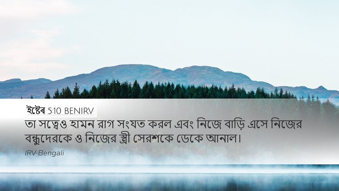 ইষ্টেৰ 5:10 BENIRV Bible Verse Image
