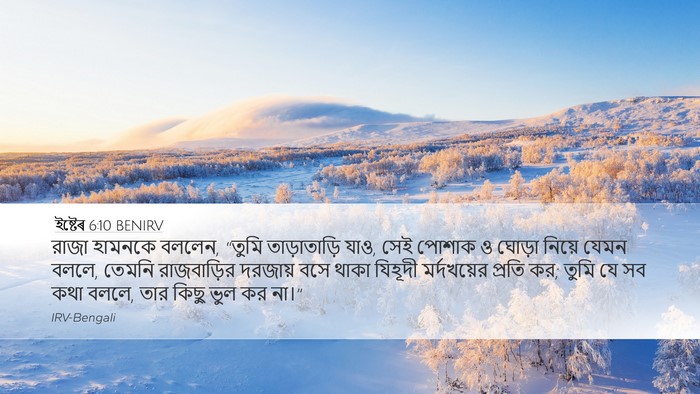 ইষ্টেৰ 6:10 BENIRV Desktop Wallpaper - রাজা হামনকে বললেন, - Desktop Bible Verse Wallpaper