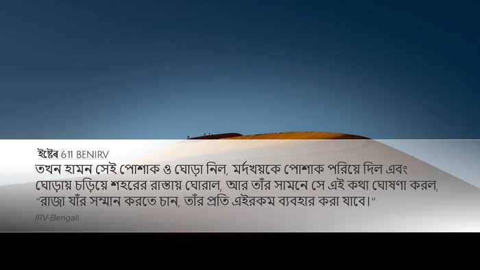 ইষ্টেৰ 6:11 BENIRV Bible Verse Image