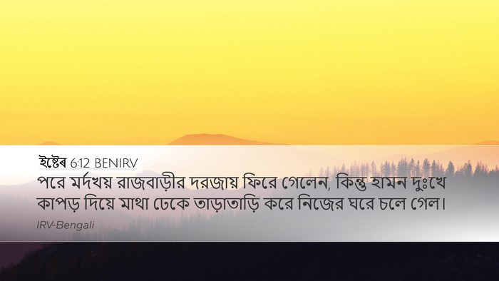 ইষ্টেৰ 6:12 BENIRV Bible Verse Image