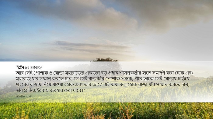 ইষ্টেৰ 6:9 BENIRV Bible Verse Image